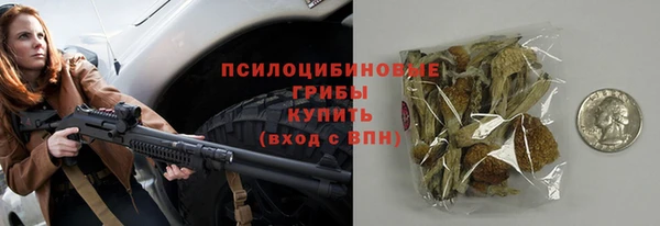 хмурый Елизово
