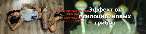 jwh Покачи
